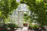 free Shelley Woodhouse orangery quotes